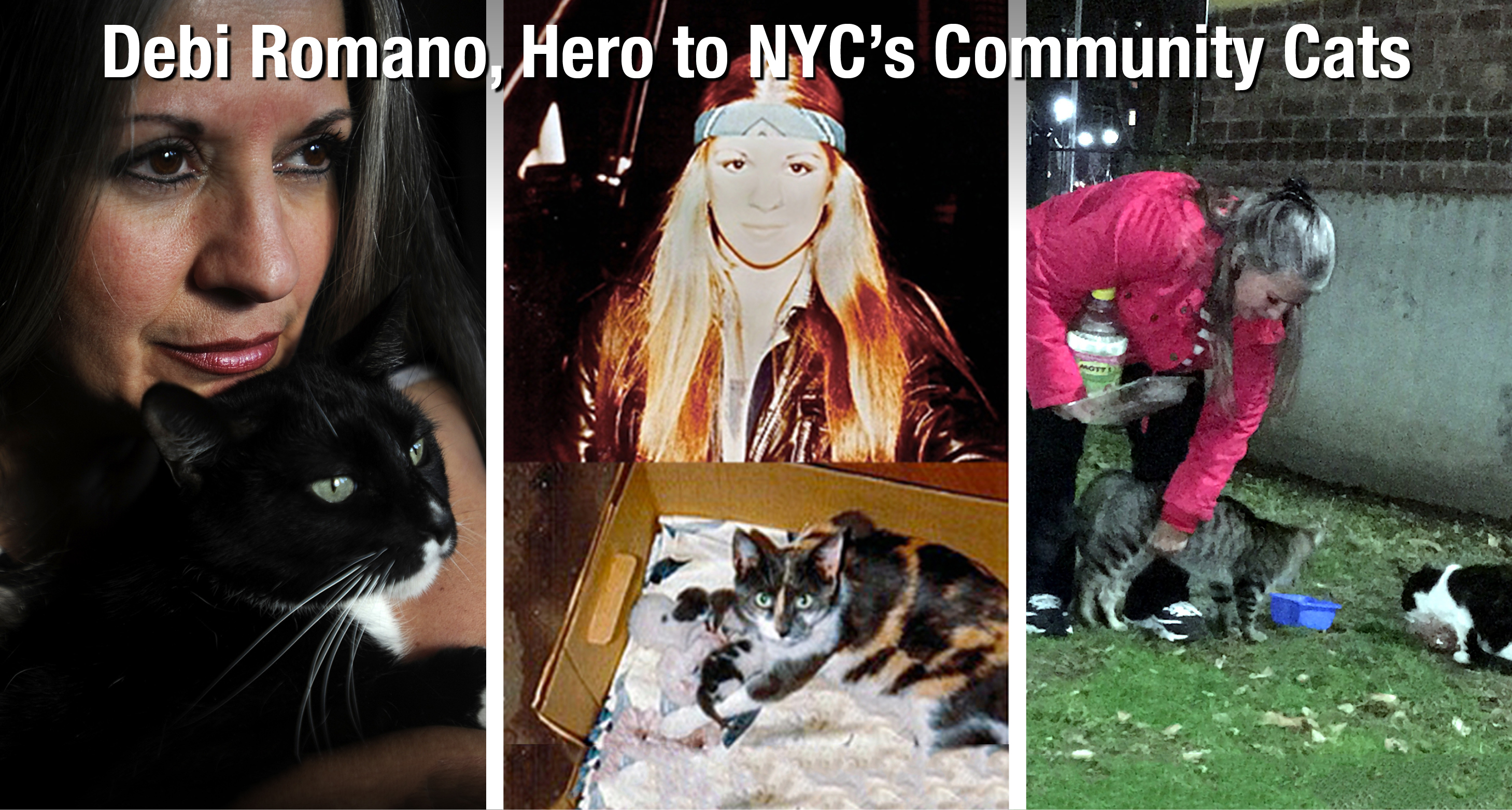 Debi Romano, Hero to NYC's Community Cats